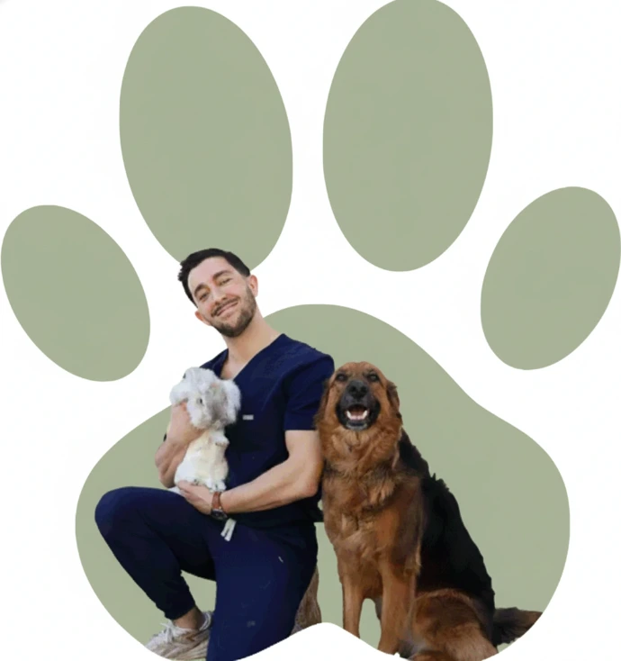 Dr. Satinet - Vétérinaire